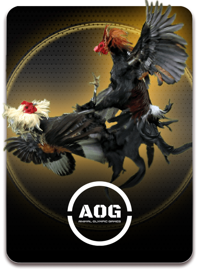 AOG