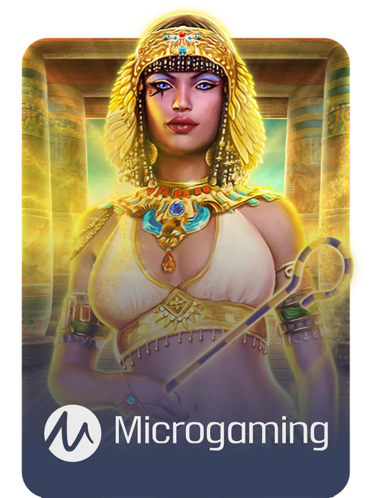 MICRO